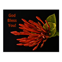 God Bless You! Postcards