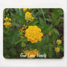 God Loves Variety Mousepad