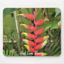 God Loves Variety Mousepad