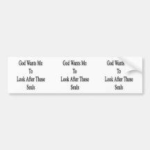 God Wants Me To Look After These Seals Bumper Stickers
