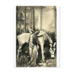 *Goddess and Horse* Vintage Postcard