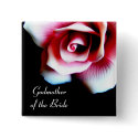 Godmother of the Bride Pink Rose I.D. Button