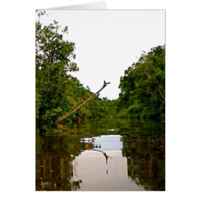 God's Drawbridge Cards by Rebecca_Reeder