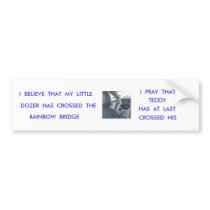 GODS  GRACE BUMPER STICKER