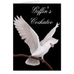Goffin's Cockatoo Card