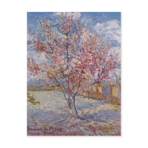 Gogh, Vincent van Souvenir de Mauve Reminiscence o Postcards