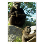 Going Ape cards