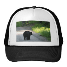 going into the light trucker hats