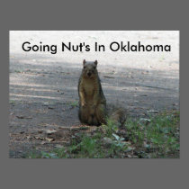 Going Nut's In Oklahoma posters