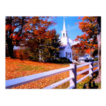 Going to the Chapel of Love Postcard