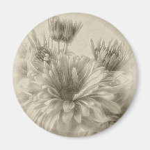 Gold and Brown Chrysanthemums 1 Antiqued Fridge Magnets