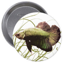 Gold Betta Siamese Fighting Fish Pins