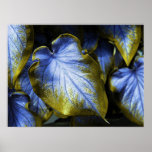 Gold Claidium Leaves posters