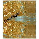 Gold digger t-shirts
