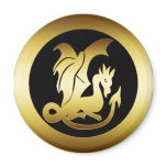 GOLD DRAGON magnets