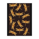 Gold Dragonflies Postcard