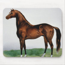 Gold Dust Mouse Pad