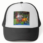 Gold Fish Hat