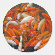 Gold Fish Swarm Sticker