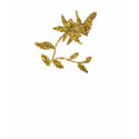 Gold-Glitter Butterfly t-shirts
