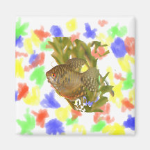 Gold Gourami Freshwater Fish With Green Refrigerator Magnets