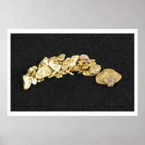Gold Nugget