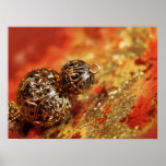 GOLD posters