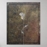 gold rose posters