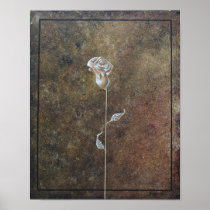 gold rose poster