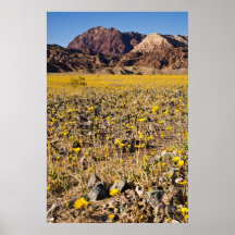 Gold Rush Posters