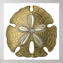Gold Sand Dollar Poster Print