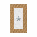 Gold Star Banner ( Lost Loved One) embroidered shirts