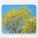 Gold Tree in Florida mousepads