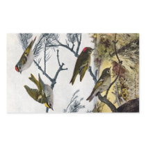 Golden and Ruby-Crowned Kinglets Rectangle Stickers