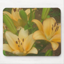 Golden Asiatic Lilly IMG_1017 Mousepads