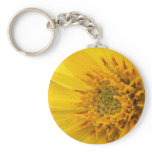 Golden Aster keychains