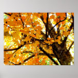 Golden Autumn Leaves Canvas Print