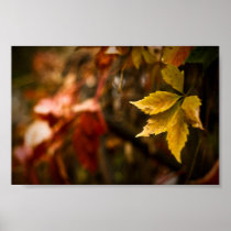 Golden Autumn Season Print