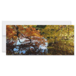 Golden Autumn Trees Rack Cards