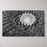 Golden Barrel Close Up In B & W Print
