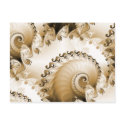 Golden Beach Shell Postcard