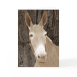Golden Beauty Greeting Card