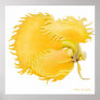 Golden Betta Fish Poster