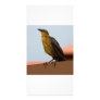 Golden Bird photo card