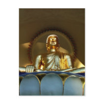 Golden Buddha Postcards