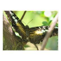 Golden Butterfly Invitation