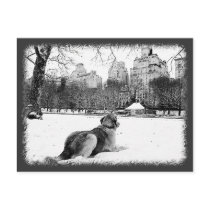 Golden by Conservatory Water-Central Park Postcard