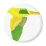 Golden Conure Fridge Magnets