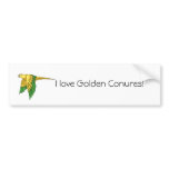 Golden Conure Products bumper stickers
