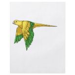 Golden Conure Products flyers